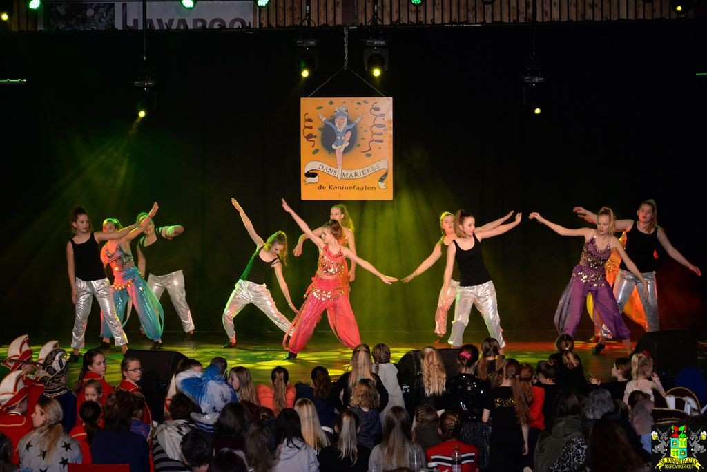 ../Images/Dansmarieke festival 2018 362.jpg